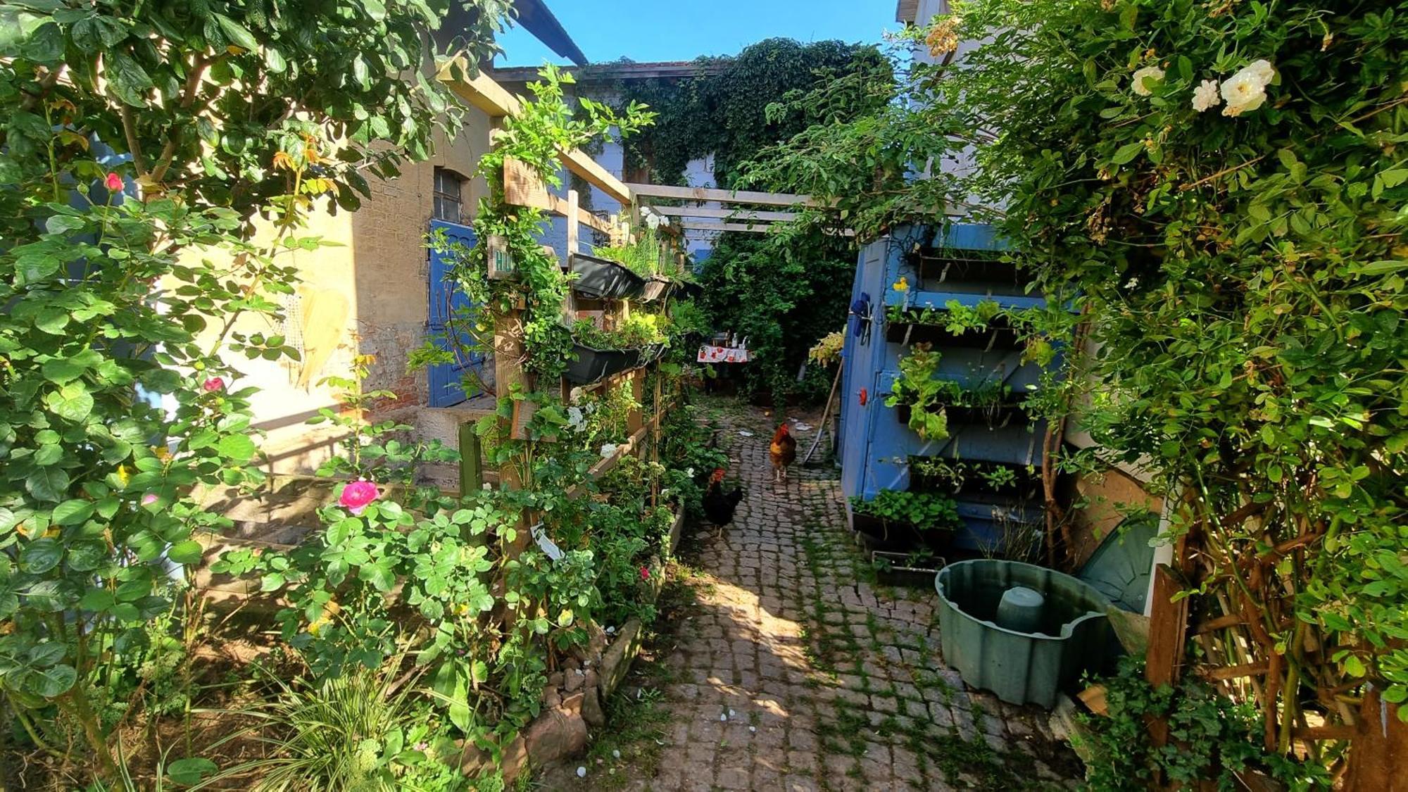 Bauernhof Privatzimmer Hortus Sandrine Gemeinschaftsbad Free Wifi Hausbreitenbach Esterno foto